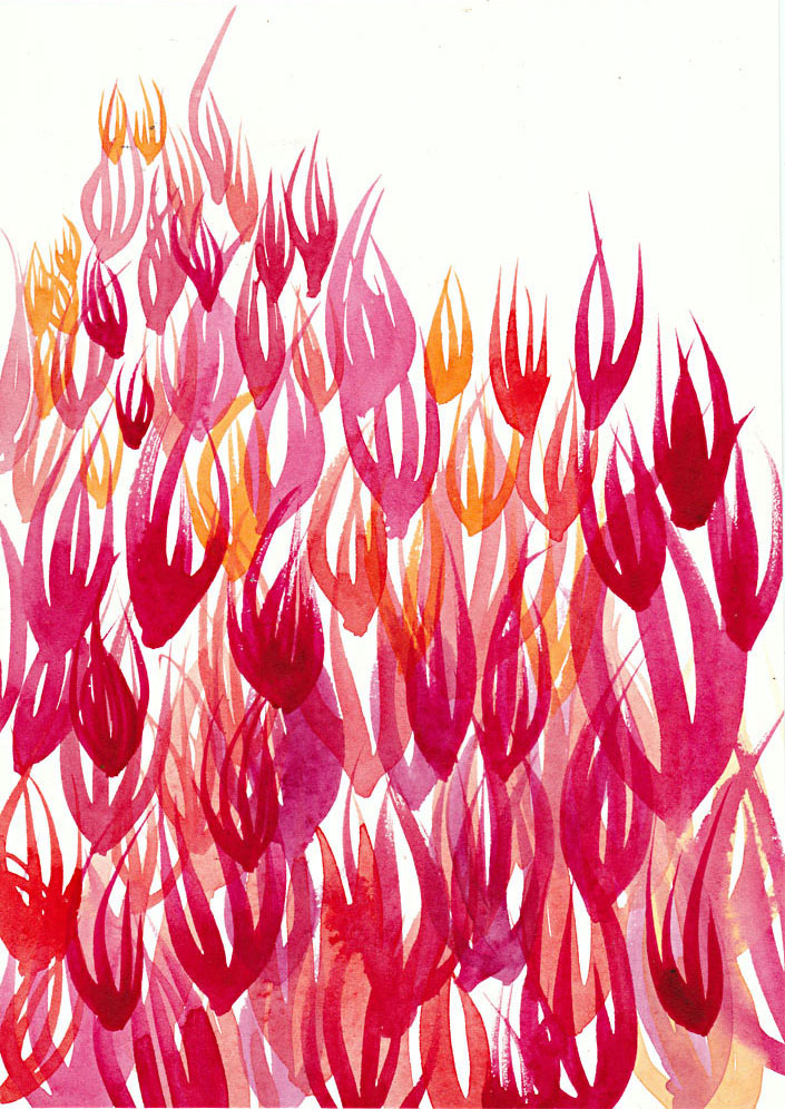tulipani